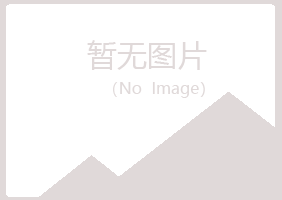 栾川县念波能源有限公司